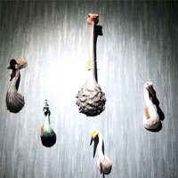 Wall Hanging Resin Ostrich Statue Abstract Waterbird Bust Wild Animal Head Decor Living Room Embellishment Home Interior Craft