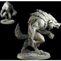38mm 56mm Resin Model Werewolf Wolf Warrior Figurine Unpainted No Color DW-017