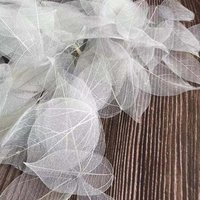 5~9CM*2~3.5CM,100PCS/Set,Real Dried Natural Vajra Leaf Vein,Pressed Dry Flowers Skeleton Leaves,DIY Wedding Decoration