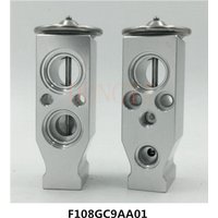 A/C Expansion Valve F108GC9AA01