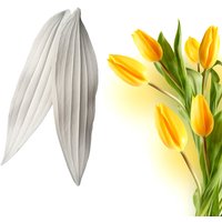 Tulip Leaf Silicone Sugarcraft Cupcake Baking Mold Fondant Cake Decorating Tools