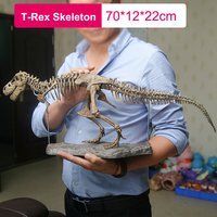 Animal Model Toys Simulation Large Dinosaur Fossil Tyrannosaurus Assemble The Skeleton Model Toys Stitching Toys