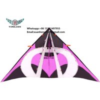 Guaranteed Quality Custom Promotional Cartoon Swallow Lager Led Light 3D Kite