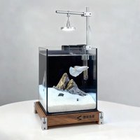 Glass Fish Tank Desktop Betta Small Aquarium with Filter and Light Household Creative Fishbowl Living Room Ornamental Fish Bowls