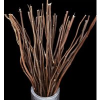 10Pcs Brown Natural Rattan Sticks & Dragon Willow branches - Essential Oil Diffuser Refill for Home Decor Aromatherapy Decor