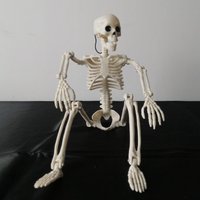 Halloween Decorations,Full Body Movable Posable Joints Skeleton,Creepy Halloween Plastic Skeleton for Graveyard DecorationsHaunt