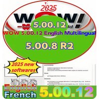 2025 Repair Software Wurth WOW V5.00.12 & 5.00.8 R2 Multilingual Diagnostic Tool for wow wurth diagnostic 2024 software