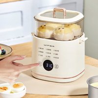 300W Intelligenter Eierkocher, energiesparende Frühstücksmaschine für Studentenwohnheime, Heißwasser-Eierkocher, multifunktional, mit Timer, Dampfkochtopf, automatische Abschaltung