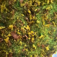 Miniature Grass Powder with Fall Leaves Mixed Model Materials For Making Lawn Terrain Landscape Sandtable Ground Accessories