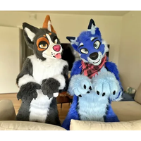 Blue Husky Fursuit Grey Brown Fox Dog Mascot Costume for Party Animal Fancy Dress Advertising Parade Halloween Suits