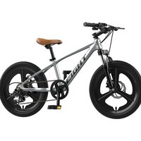 AliExpress TLXT Cross Life 20 Inch Magnesium Alloy Mountain Bicycle 8/10 Year Old Youngster Bicycle Double Disc Brake Variable Speed Bicycle