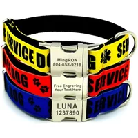 Personalized Pet Collar Custom Free Engraving Puppy Cat Name ID Tag Adjustable Basic Service Dog Collars Leash , 3 colors