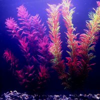 Multiple Underwater Artificial Aquarium Plants Water Weeds Ornament Aquatic Plant Fish Tank Grass Decoration Accessories