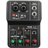 TeyunQ12 Audio Interface for Recording Computer Free Drive USB External Sound Card for Pc Pro Audio Equipment Professional Video