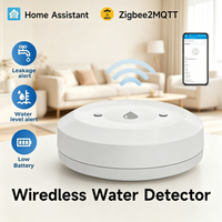 Zigbee Smart Water Sensor Flood Leak Detector APP Remote Monitoring for Kitchen Bathroom Support Home Assistant Zigbee2MQTT
