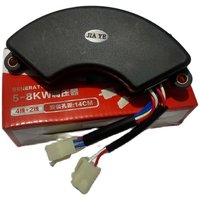 Double Sockets JIA YE AVR Voltage Regulator For 7KW 8KW Silent Diesel Generator Generators Portable Power 6WIRES 450V 470UF