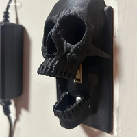 3D Printed Skull Light Switch Cover - Skull Wall Control Panel, Easy To Screw in Installation, Gothic and Halloween Decorations