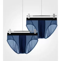 2PCS Men Ice Silk Briefs Graphene Antibacterial Crotch U‑Pouch Thin Breathable Summer Underwear