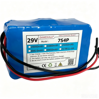 DAWEIKALA 29V 7S4P 21700 Lithium-Ionen-Akku, integrierter BMS-Schutz vor Überladung und Tiefentladung, wiederaufladbarer Li-Ionen-Akku für DIY-Stromversorgungsgeräte