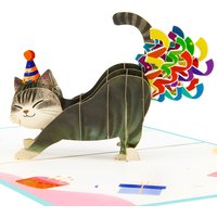 3D Funny Cat Fart Confetti Pop Up Birthday Card Cute Birthday Greeting Card Cat Mom Cat Dad Ideal Gift Cat Lovers Friends Family