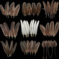 30Pcs Guinea Fowl Wing Feathers,Natural Black Brown Polka Dot Guinea Curved Quills for Millinery,Jewelry Making