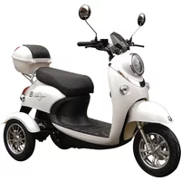 Foreign trade export electric tricycle three-wheeled electric vehicle small hoseh car 60v three-wheeled electric 2 sets