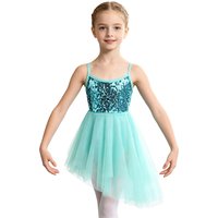 Kids Girls Ballerina Tutu Ballet Lyrical Dance Dress Gymnastics Leotard Sequins Fairy Tutu Ballet Jersey Dance Dress Costumes