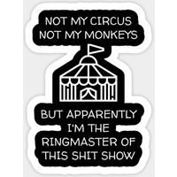 Not My Circus Monkeys But The Ringmaster Of This Shit Show 5PCS Stickers for Art Decor Print Wall Stickers Bumper Anime Kid