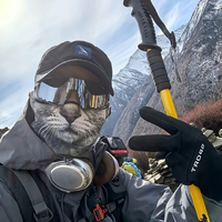 AliExpress NONE 3D Animal Cat Design Summer Full Face Neck Protector Sun Shield Breathable Quick Dry Polyester Helmet Liner for Outdoor Cycling