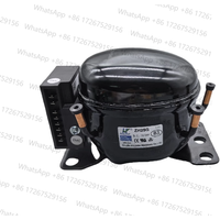 Compressor 12v24V 12V DC Automotive Refrigeration Outdoor Refrigerator Compressor ZH25G 35G