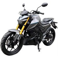 Cool Design 250cc 300cc 4 Stroke Street Bike Sports Motorcycle Factory Wholesale High Performance Adult Racing Moto