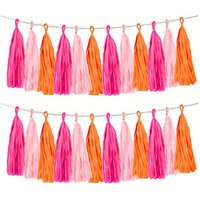 15Pcs Vibrant Tassel Garland Banners - Ideal for Birthday, Halloween, Christmas, Weddings Party Decorations and Home Decorations