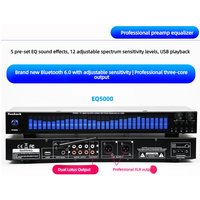 2026 new EQ5000 professional front-end EQ equalizer tuning USB flash drive Bluetooth 6.0 spectrum display home Canon output