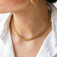 A Wide Collarbone Chain for Women with a Street Style Vibe Featuring a Dual-Tone Design Made of Stainless Steel for a Unique Loo