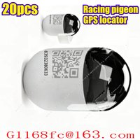 GPS Ring Speed Data Analysis Function, Used for Daily Training Locator of Racing Pigeons Professional and Accurate