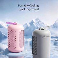 Hot Portable Cooling Towel Quick Dry Ice Towel Sweat Absorbent for Sports Gym Yoga Running Camping with Silicone Carabiner Case