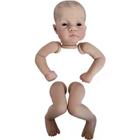 19inch Already Painted Twins Reborn Doll Kit Lily and Irys Soft Touch Hand Painted with Veins Cloth Body Included