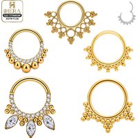 ASTM F136 Titanium Luxury CZ Inlaid Hinged Segment Ring Round Hoop Daith Helix Septum Piercing Jewelry Clicker Nose Ring Set
