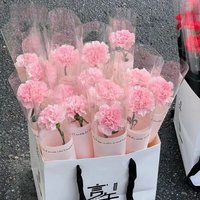 Carnation Soap Flower Rose Artificial Flowers Mother's Day Gift Home Decoration Fake Flower Wedding Party Garden Festival Decor