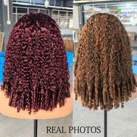 100% Double Drawn Hair Burmese Curly Glueless Lace Closure Wigs 250 Density Bouncy Curly 5x5 HD Lace Frontal Wig For Black Women