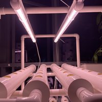 Vertical Hydroponics Growing System with LED Grow Lights, Family Farm Vegetables Planting, Lecture Planter