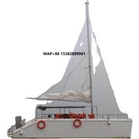 Bestyear Catamaran S33c Boat Sailing Boat