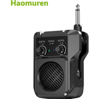Haomuren Plug In Electric Guitar Speaker Amplifier Portable Tone Control Clean Distortion Overdrive Reverb Effects For Beginners