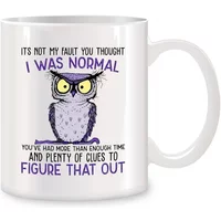 Mug It's Not My Fault You Thought I Was Normal Owl Mugs For Her Mom Birthday Gifts Novelty Coffee Ceramic Tea Cups White 11 oz