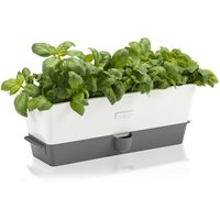 SelfWatering Herb Keeper, Plastic, White Grey, 13.8 x 37.1 x 14 cm