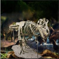 DIY Large T Rex Tyrannosaurus Rex Skeleton Dinosaur Animal Model Collector Super Decor Tyrannosaurus Rex Skeleton Ornaments