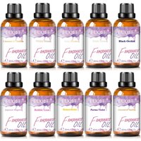 EUQEE 30ml Premium Fragrance Oil For Diffuser Aromatherapy Coconut & Vanilla White Musk Bubble Gum Lilac Aroma Fragrance Oils