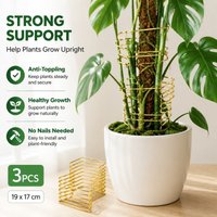 Iron Plant Support Stake for Monstera Deliciosa Anti-toppling Greenery Fixing Frame Rustproof Metal Stem Holder Prevent Foliage