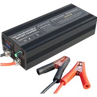12V 50A Lifepo4 Battery Fast Charger 40A for Lifepo4 Lithium Battery Charge Rate High Power Efficient Charging