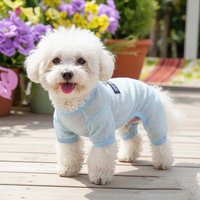 Summer Breathable Mesh Pet Jumpsuit With D-ring Lightweight Dog Four Leg Clothes Anti-shedding Puppy Outfit for Small Medium Dog